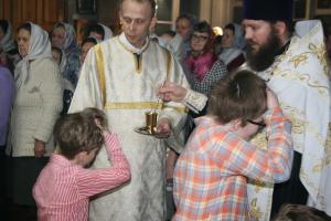 Крещение Господне в Воскресенском