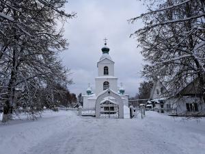 "Тематические трудовые акции" в Шарангском благочинии